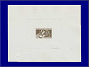 Photott12087.jpg