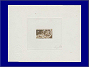 Photott12088.jpg