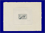 Photott12391.jpg