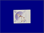 Photott13706.jpg