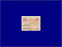 Photott21778.jpg