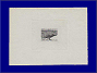 Photott25516.jpg
