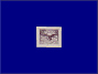Photott25728.jpg