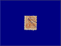 Photott30293.jpg
