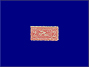 Photott30295.jpg