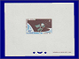 Photott31059.jpg