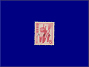 Photott32434.jpg