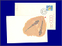 Photott3362.jpg