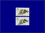 Photott34576.jpg