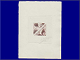Photott35476.jpg