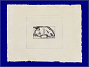 Photott36334.jpg