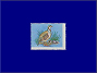 Photott36408.jpg
