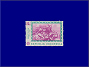Photott36736.jpg