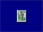 Photott36879.jpg