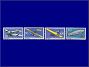 Photott38057.jpg
