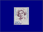 Photott38079.jpg