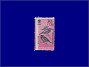 Photott38458.jpg