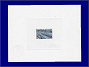 Photott39495.jpg