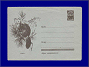 Photott40039.jpg