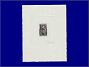 Photott40985.jpg