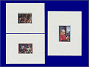 Photott41334.jpg