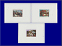 Photott41446.jpg