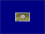 Photott41766.jpg