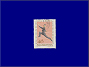 Photott45564.jpg