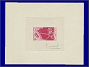 Photott47470.jpg