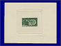 Photott48271.jpg