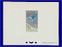 Photott48343.jpg