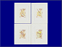 Photott51420.jpg