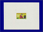 Photott51430.jpg